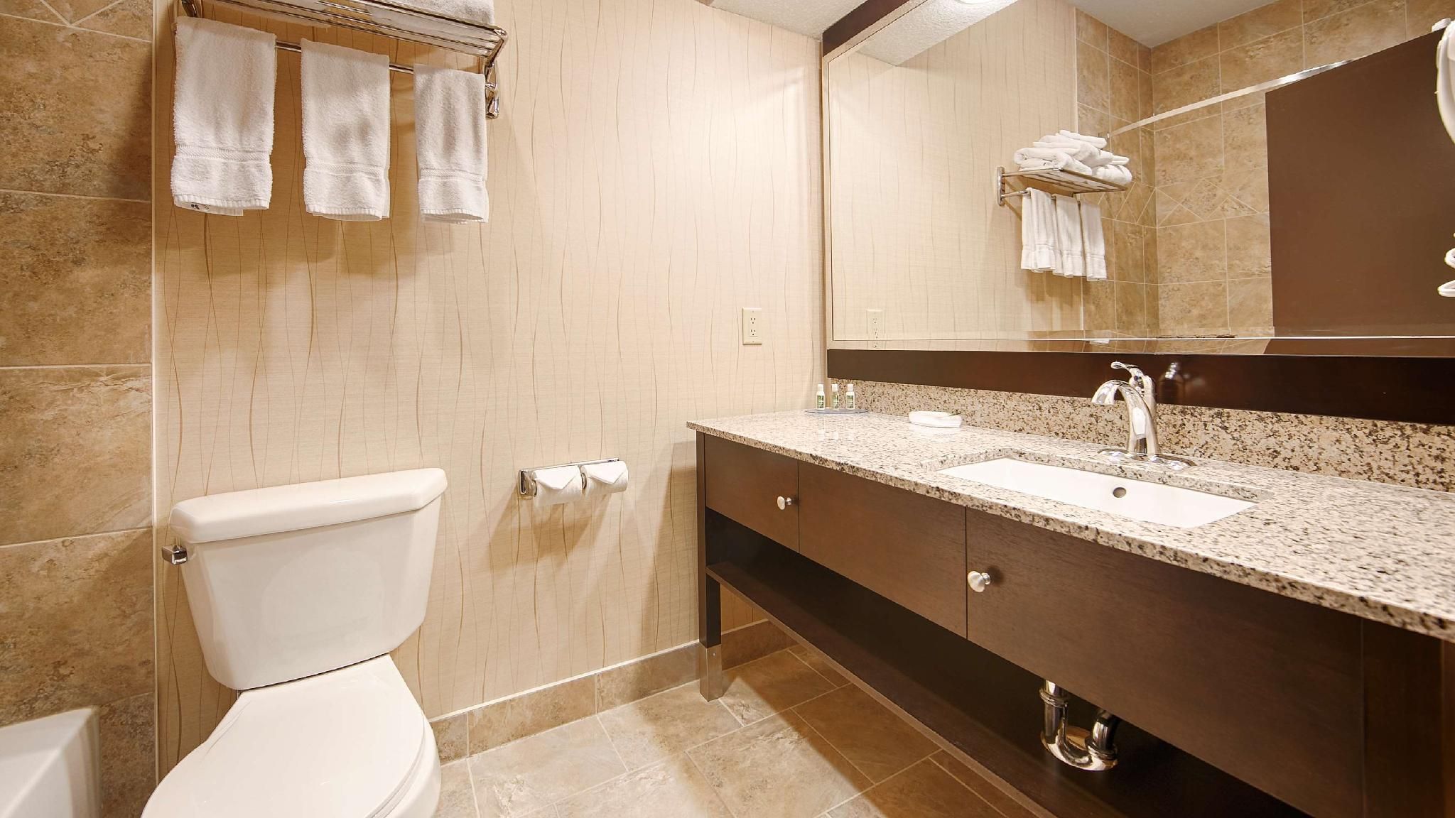 Suite - 1 King Bed, Nonsmoking, Executive Room, Sofabed