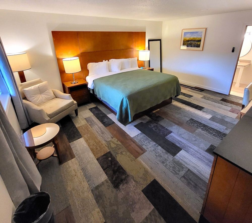 Shelton Inn Superior Studio Suite, 1 King Bed with Sofa bed