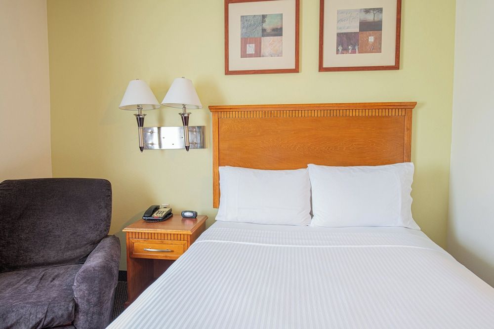 Studio Suite, 1 Queen Bed, Kitchen