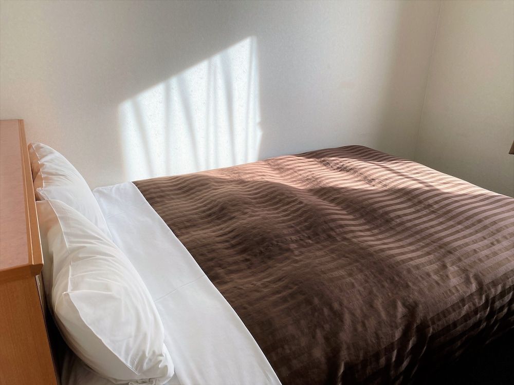 Sakura Hotel Hatagaya Basic Double Room, Non Smoking 3