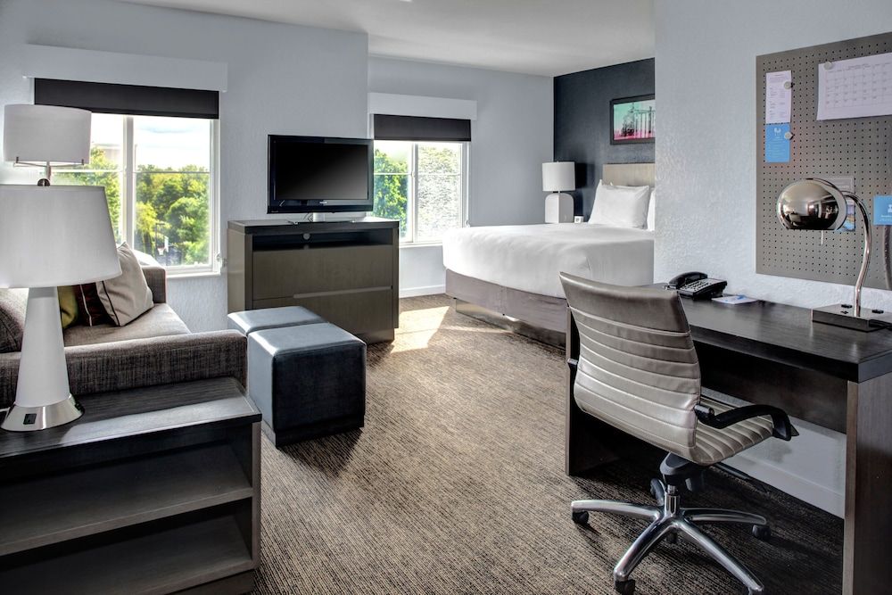 Studio, 1 King Bed with Sofa bed