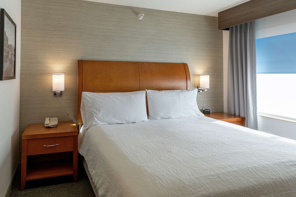 King Bed Suite