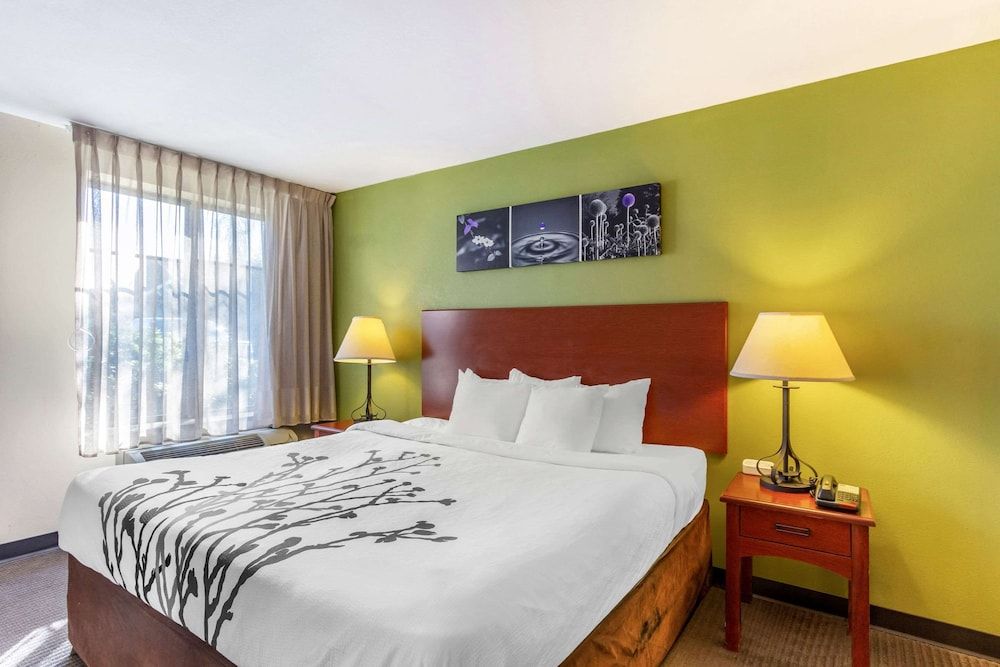 Room, 1 King Bed, Accessible, Non Smoking