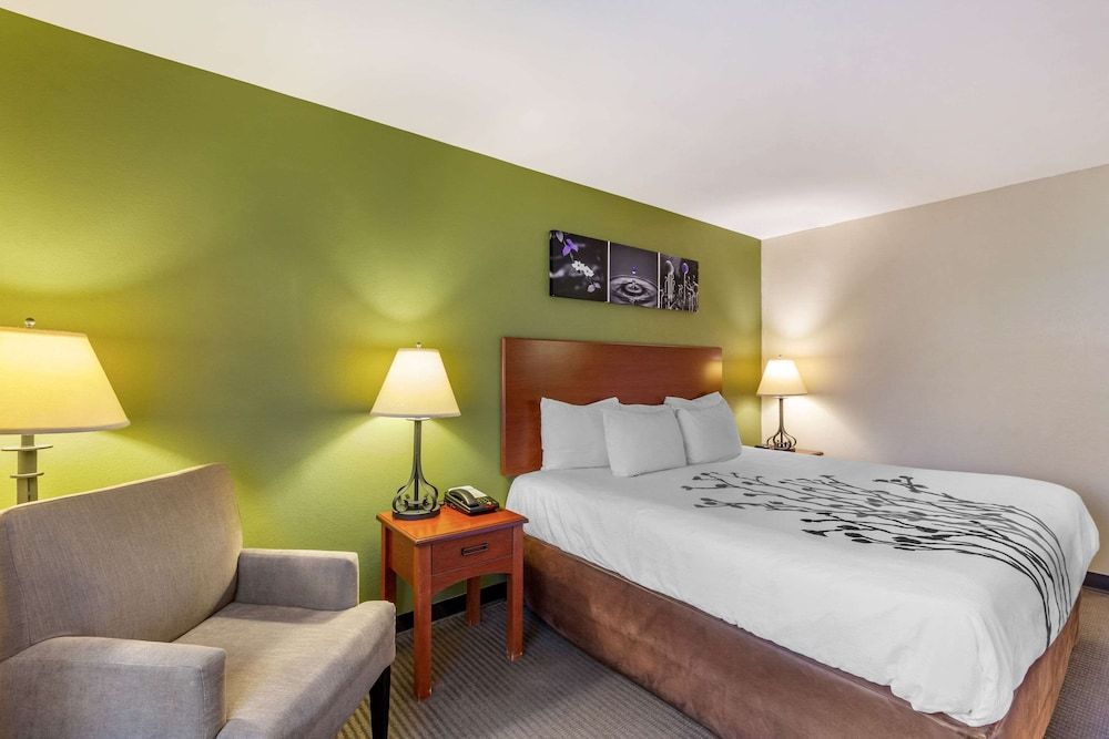 Room, 1 King Bed, Accessible, Non Smoking