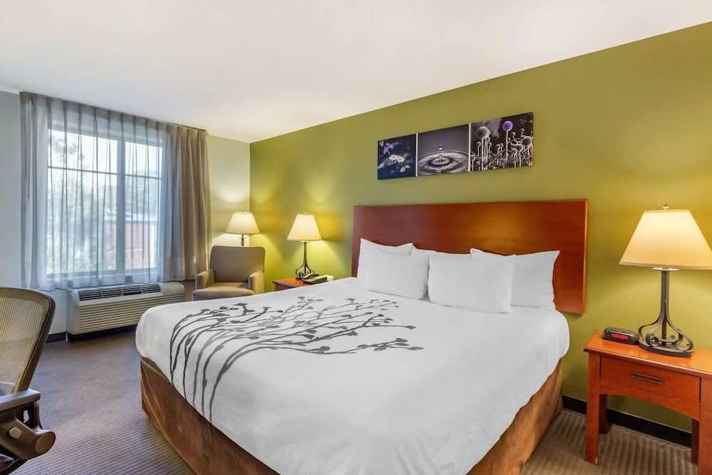 Suite, 1 King Bed, Accessible, Non Smoking