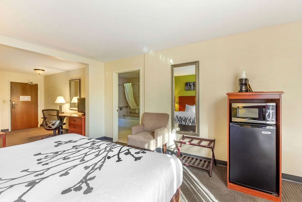 Suite, 1 King Bed, Accessible, Non Smoking