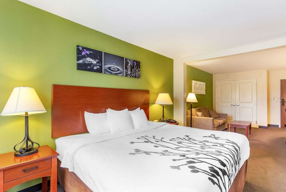 Suite, 1 King Bed with Sofa bed, Non Smoking