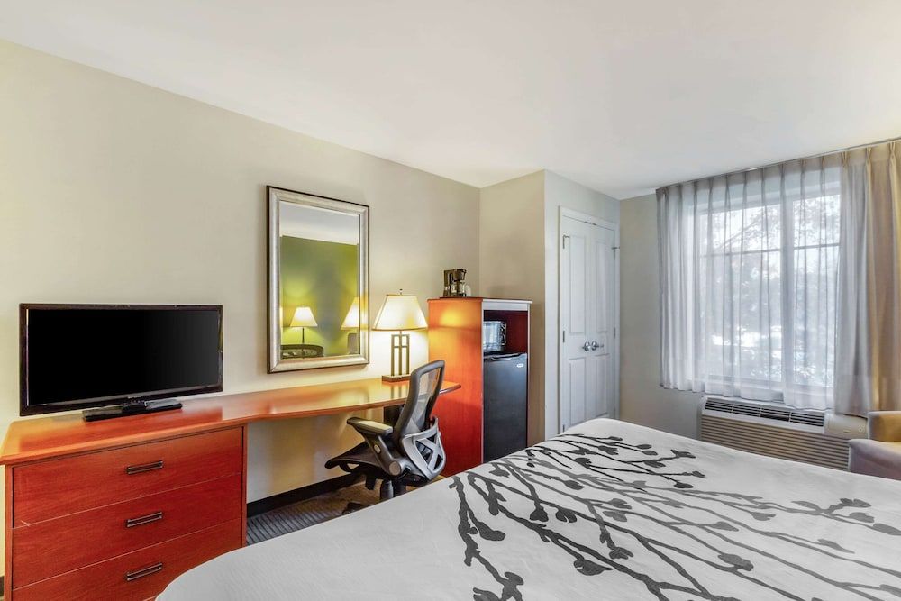 Standard Room, 1 King Bed, Non Smoking