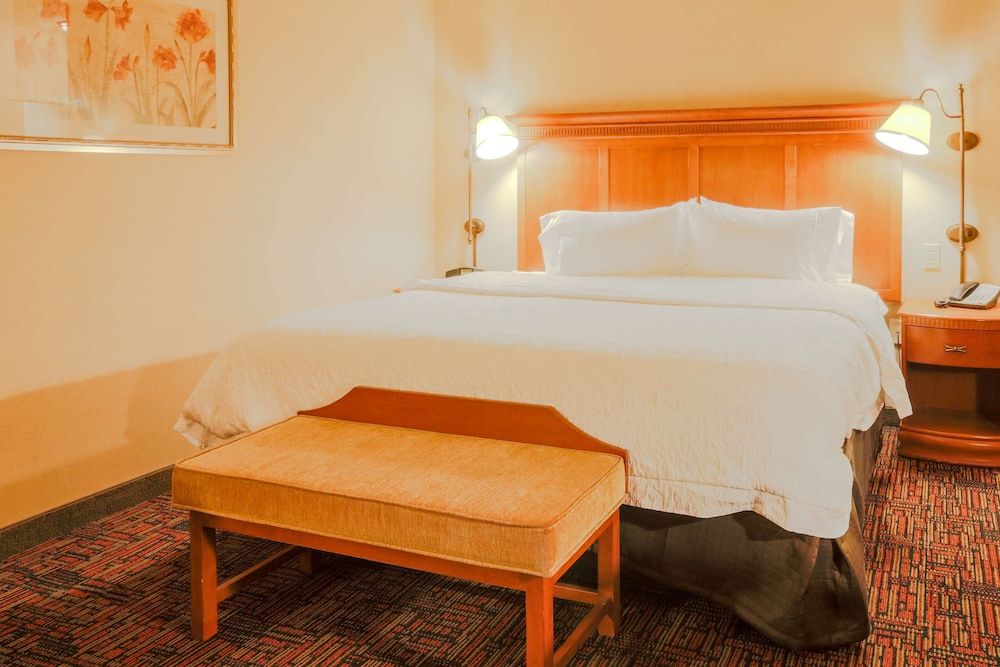 Room, 1 King Bed, Accessible, Non Smoking