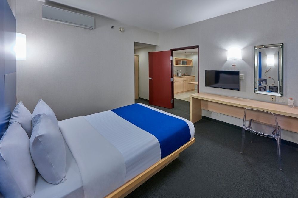 Room, 1 King Bed with Sofa bed