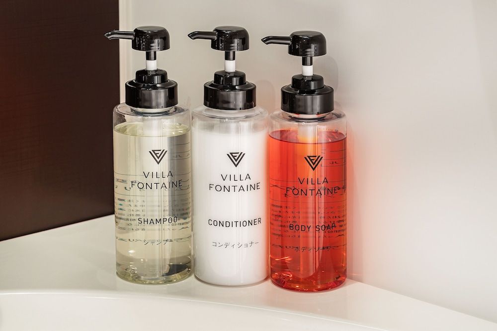 Hotel Villa Fontaine Tokyo - Kudanshita Moderate Twin renovated in 2022 Non Smoking 2