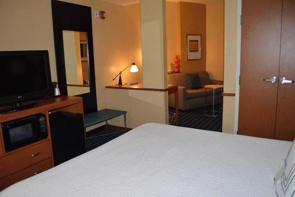 Suite, 1 King Bed with Sofa bed