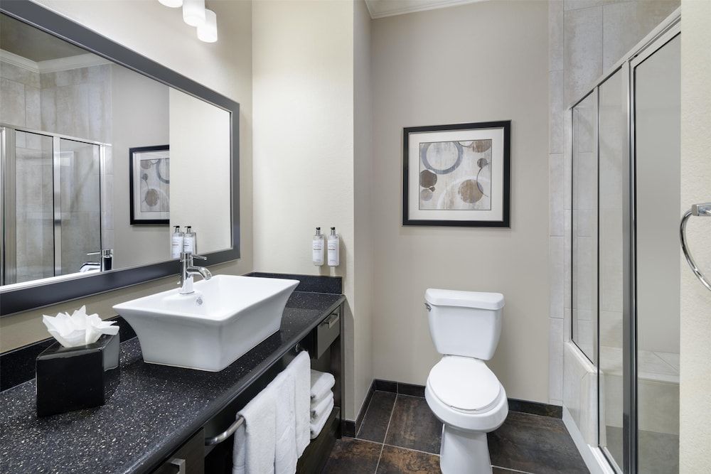Standard Room, 1 King Bed, Non Smoking, Refrigerator & Microwave (Shower Only;with Sofabed)