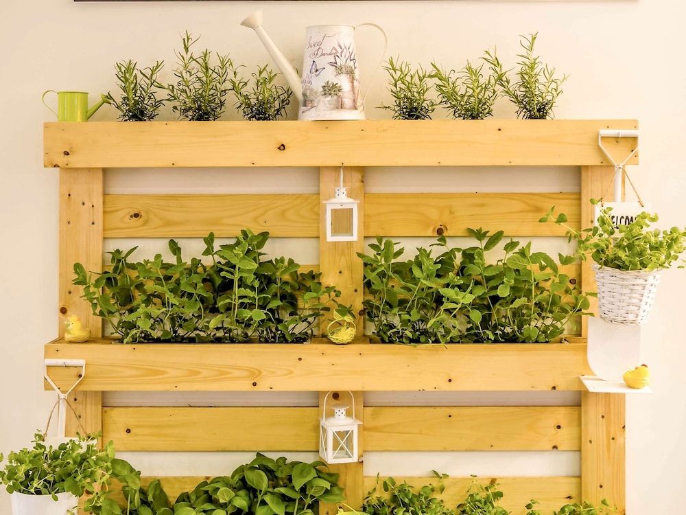 undefined ibis Porto Centro São Bento 2