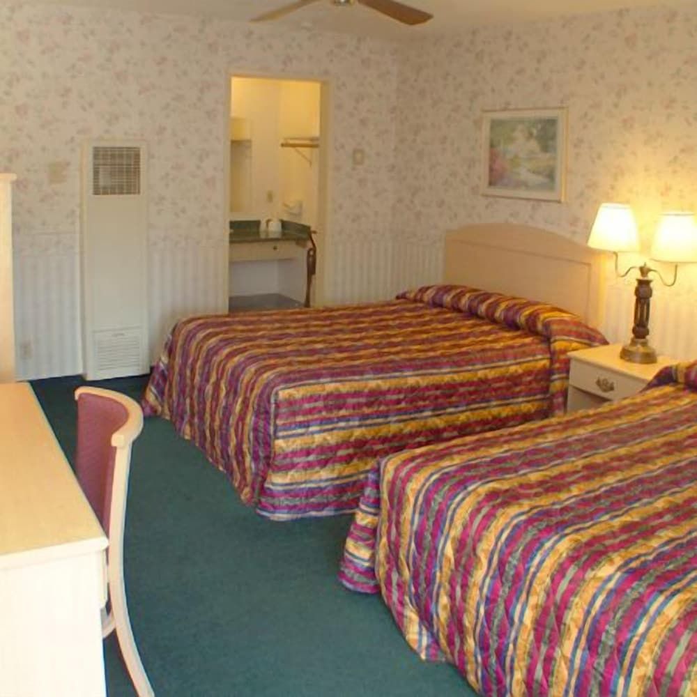 Standard Room, 2 Double Beds