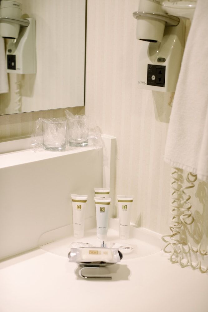 Baia Bursa Hotel Standard Room, 1 Bedroom 10