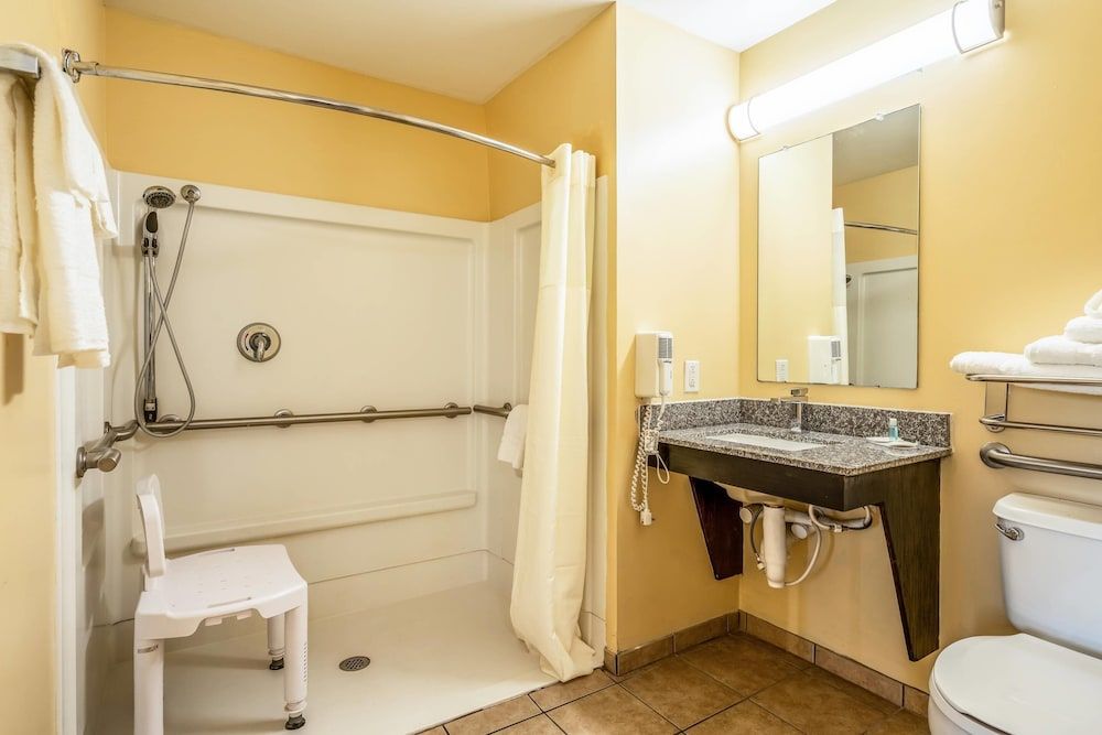 Room, 1 Double Bed, Accessible, Non Smoking (Efficiency)