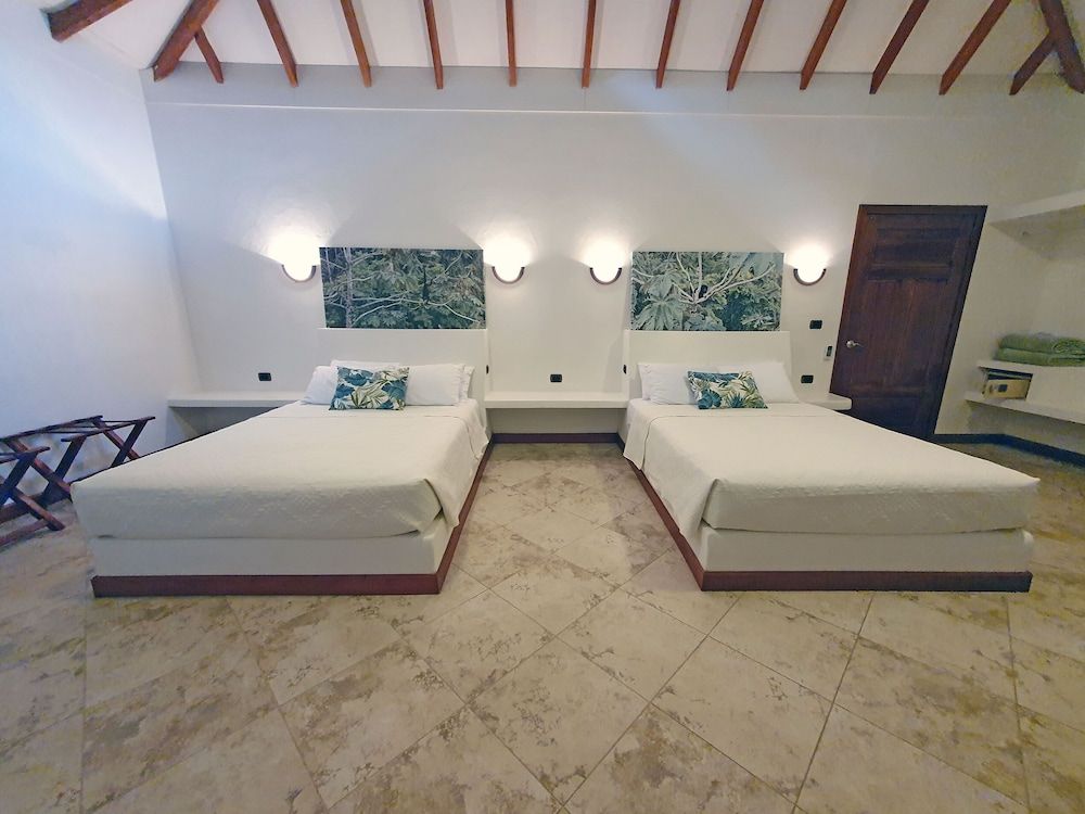 Junior Suite, 2 Queen Beds, Garden View