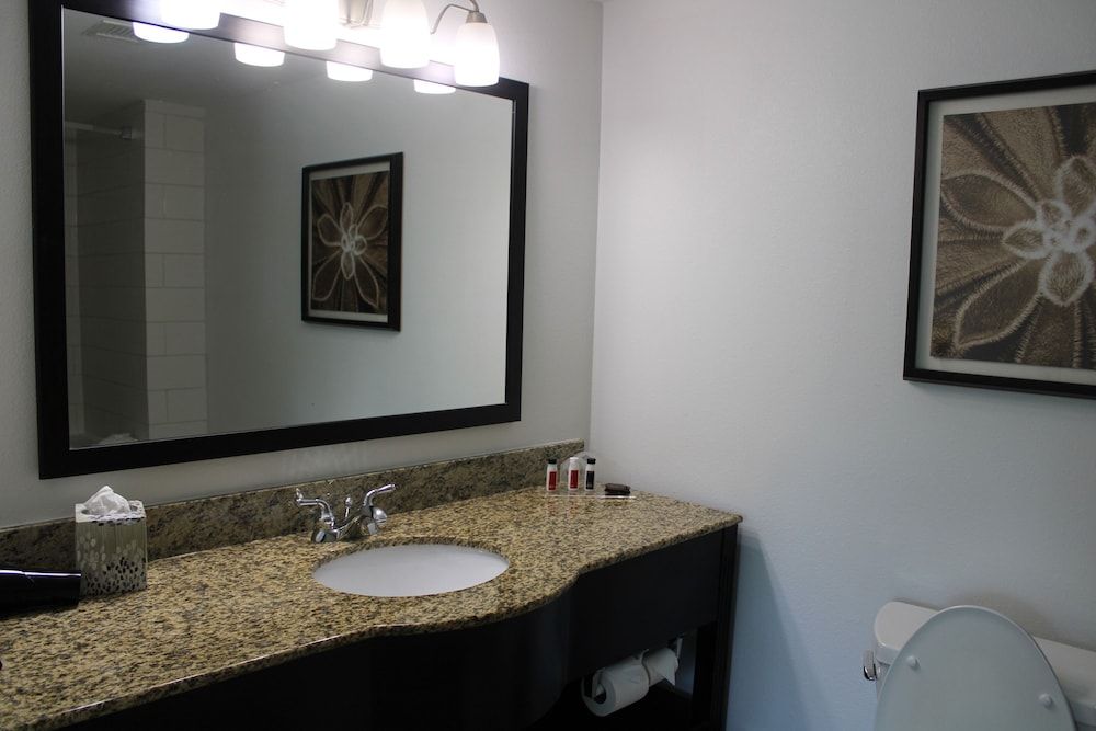 Wingate by Wyndham Houma LA Deluxe Studio Suite, 1 King Bed, Non Smoking 6