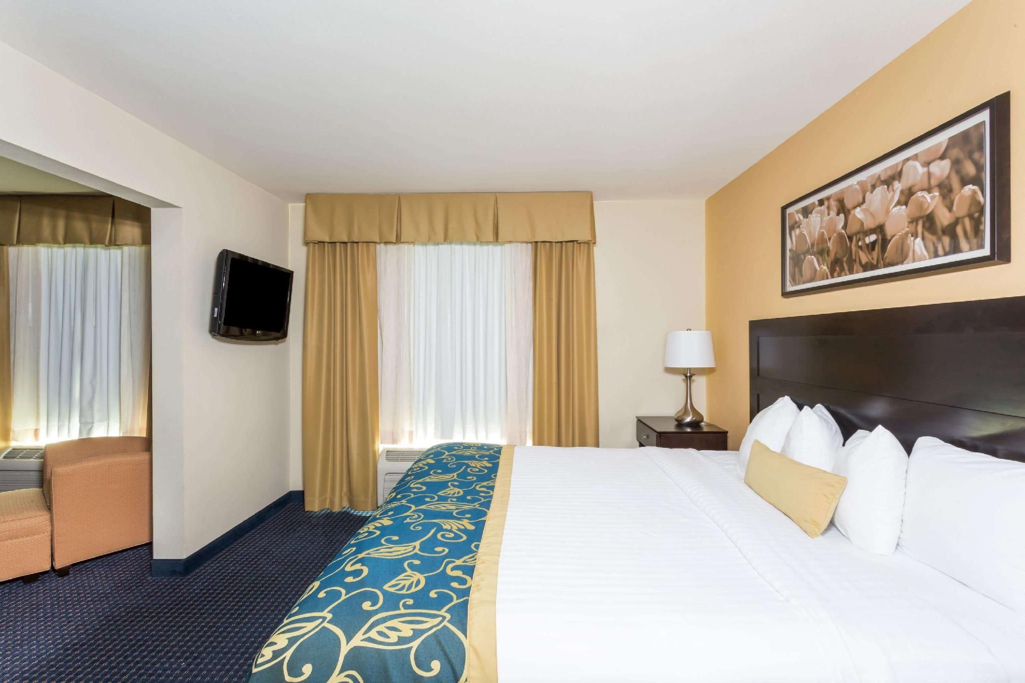 1 King Bed, Deluxe Studio Suite, Non-Smoking