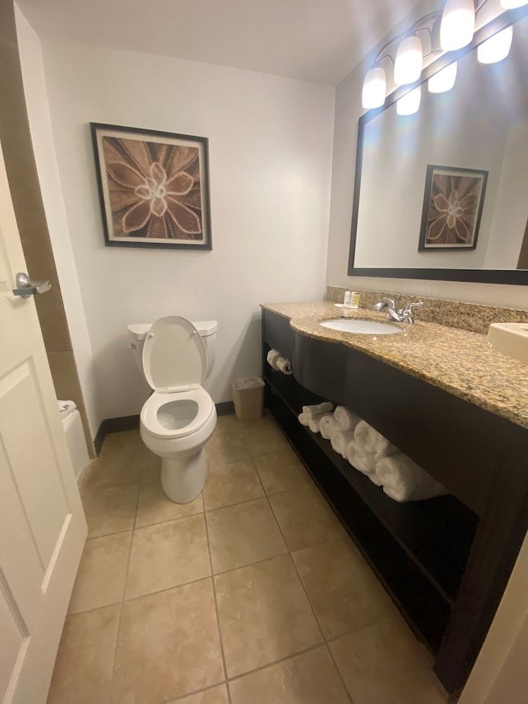 Wingate by Wyndham Houma LA Deluxe Studio Suite, 1 King Bed, Non Smoking 7