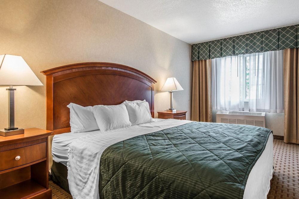 Room, 1 Queen Bed, Non Smoking