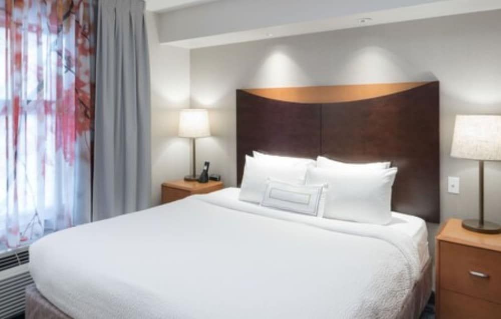 Studio, 1 King Bed with Sofa bed