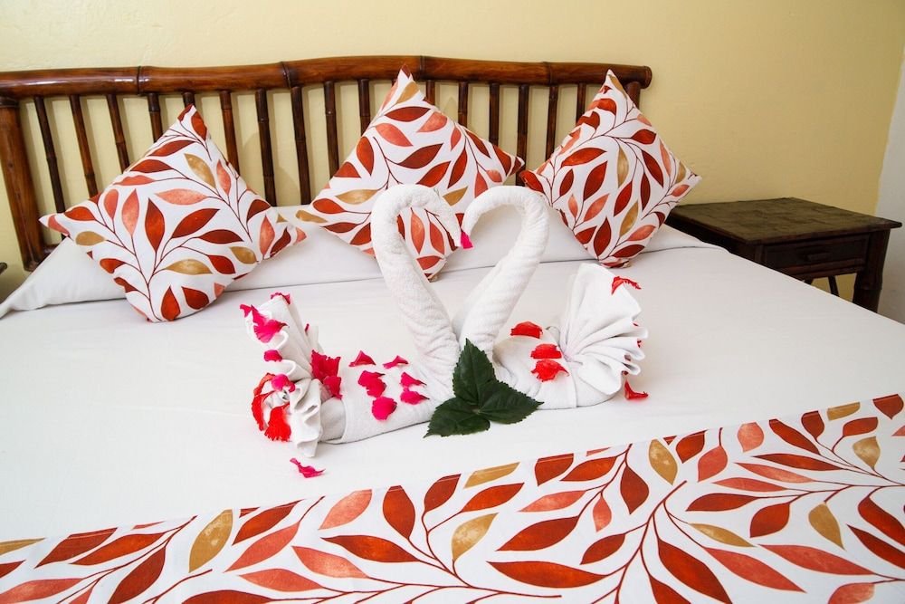 Hotel Zihua Caracol Standard Room King Size 6