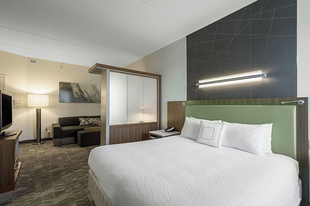 Suite, 1 King Bed with Sofa bed