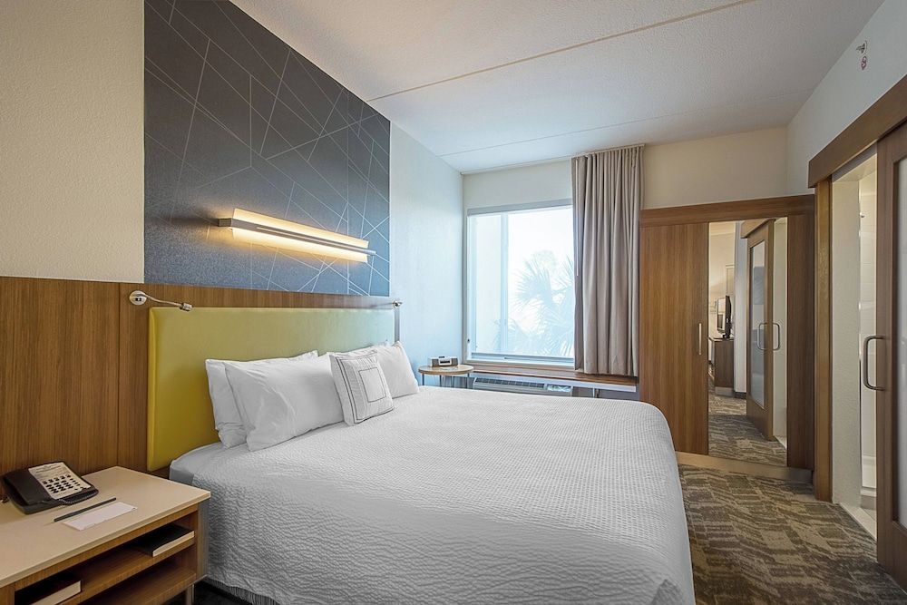 Suite, 1 King Bed with Sofa bed