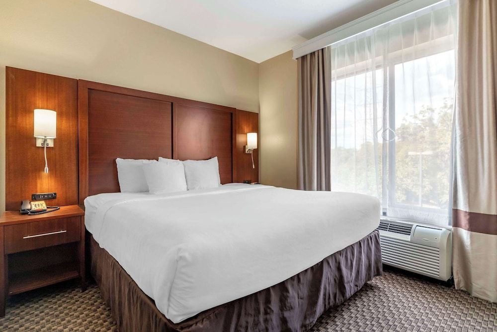 Suite, 1 King Bed with Sofa bed, Accessible, Non Smoking