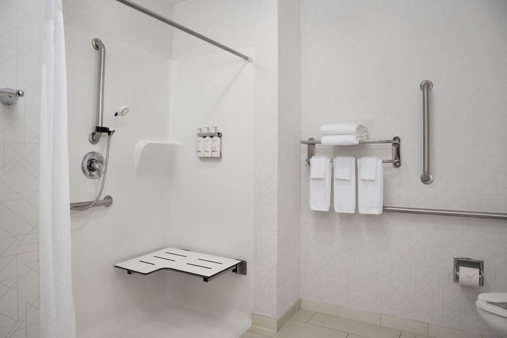 Standard Room, 1 King Bed, Accessible (Roll-In Shower)