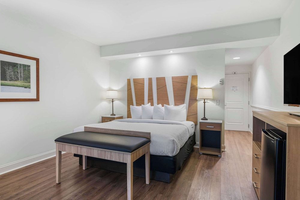 Standard Room, 1 King Bed, Non Smoking, Refrigerator & Microwave (Walk-in Shower;Pet Friendly)