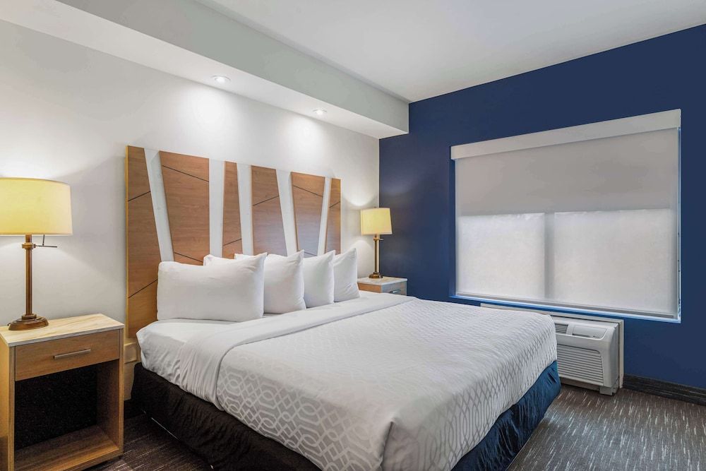 Suite, 1 King Bed, Non Smoking, Refrigerator & Microwave (with Sofabed)