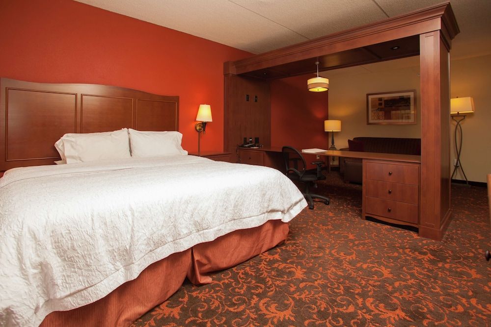 Studio, 1 King Bed, Accessible, Non Smoking (Roll-In Shower)