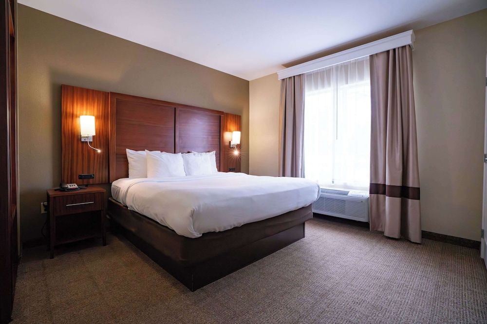 Suite, 1 King Bed with Sofa bed, Accessible, Non Smoking