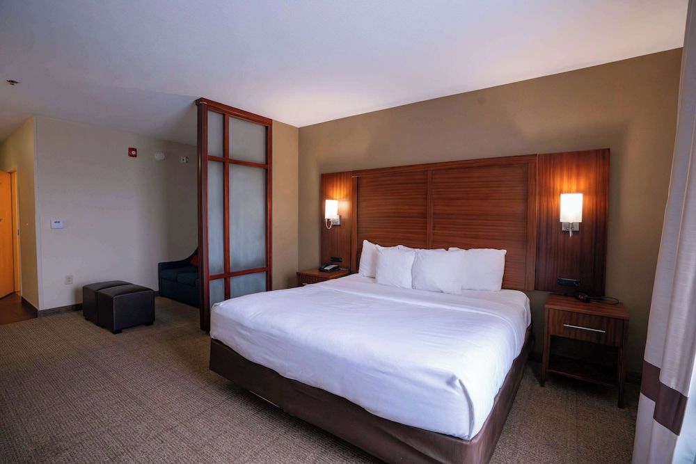 Suite, 1 King Bed with Sofa bed, Accessible, Non Smoking