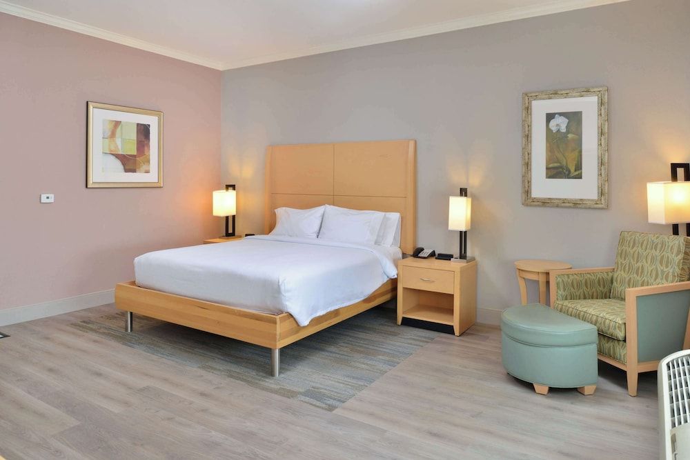 Standard Room, 1 King Bed, Accessible (Mobility & Hearing, Roll-in Shower)