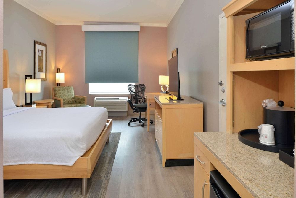 Room, 1 King Bed