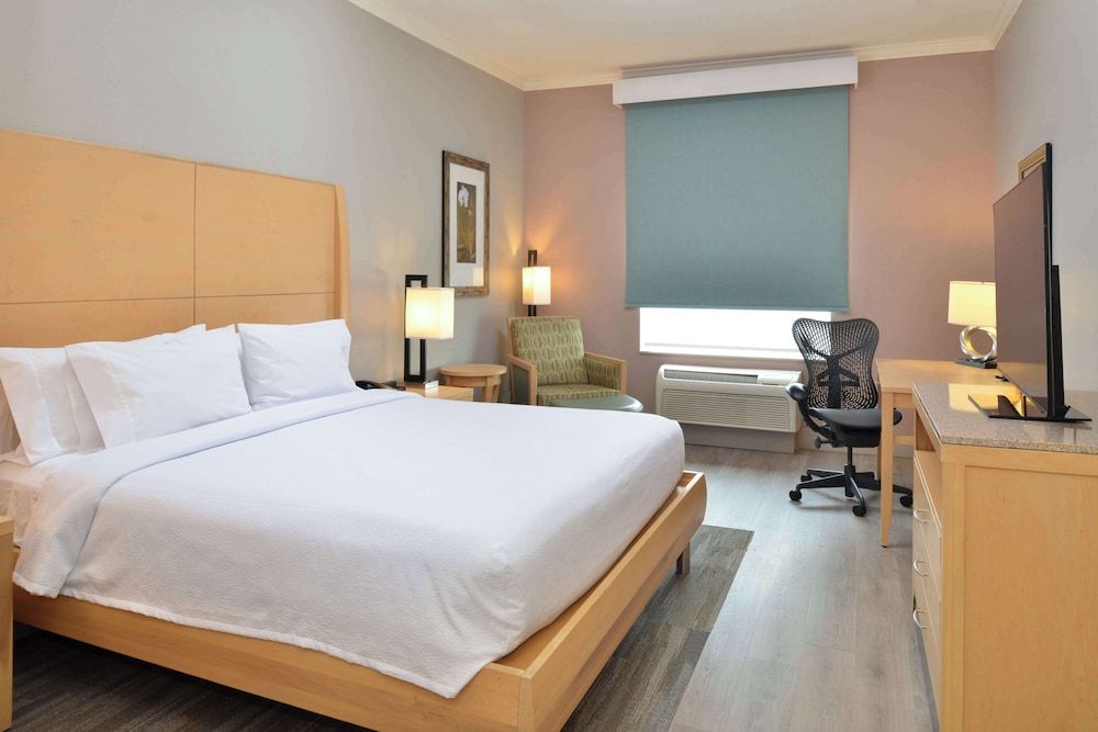 Room, 1 King Bed