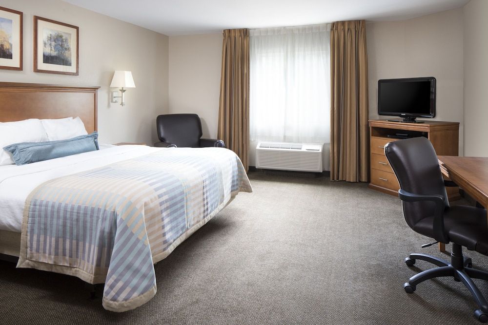 Suite, 1 Bedroom, Roll-in Shower (Mobility Accessible)