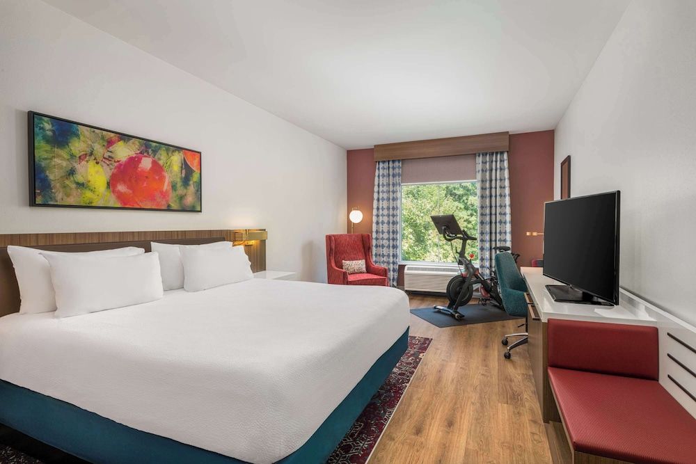 Room, 1 King Bed