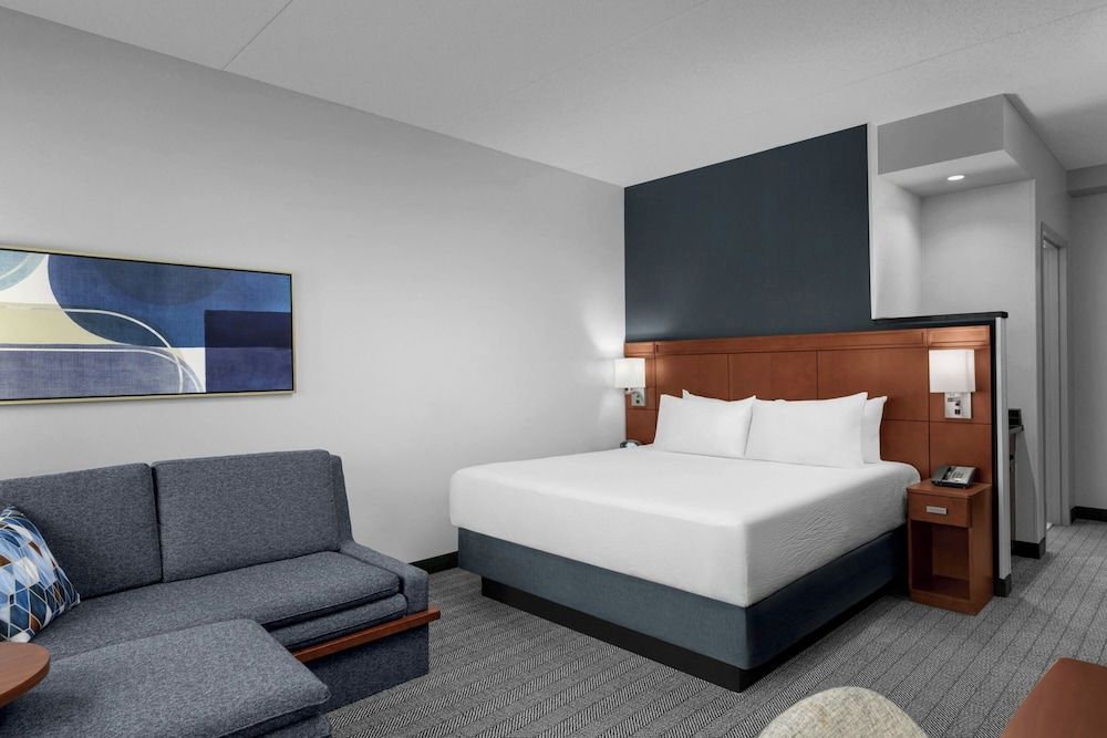 Room, 1 King Bed with Sofa bed