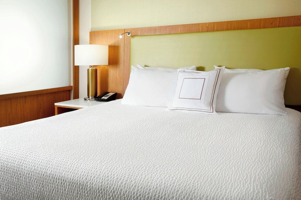 SpringHill Suites by Marriott Pittsburgh Bakery Square Studio, 1 King Bed (Trundle Bed)