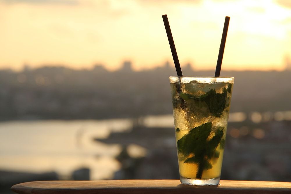 undefined Tulip City Hotel 8