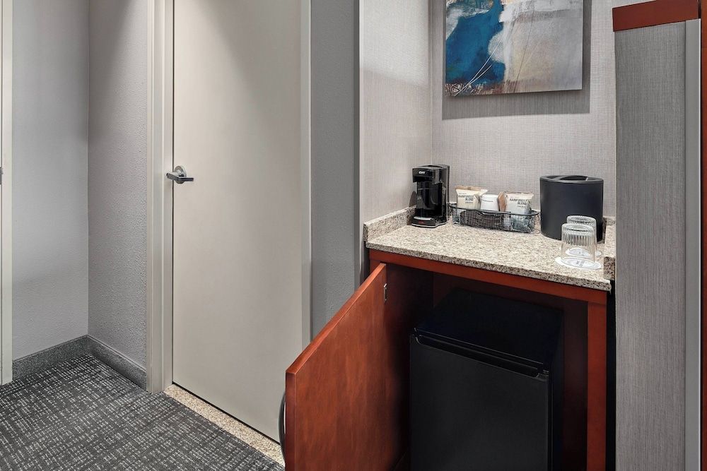 Room, 1 King Bed with Sofa bed, Non Smoking (Mobility/Hearing Access, Transf Shwr)