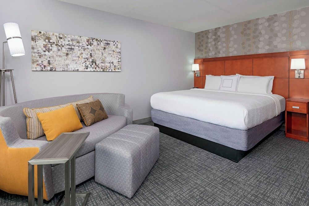 Room, 1 King Bed with Sofa bed