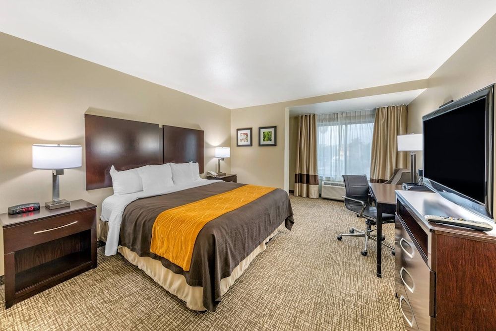Standard Room, 1 King Bed, Non Smoking