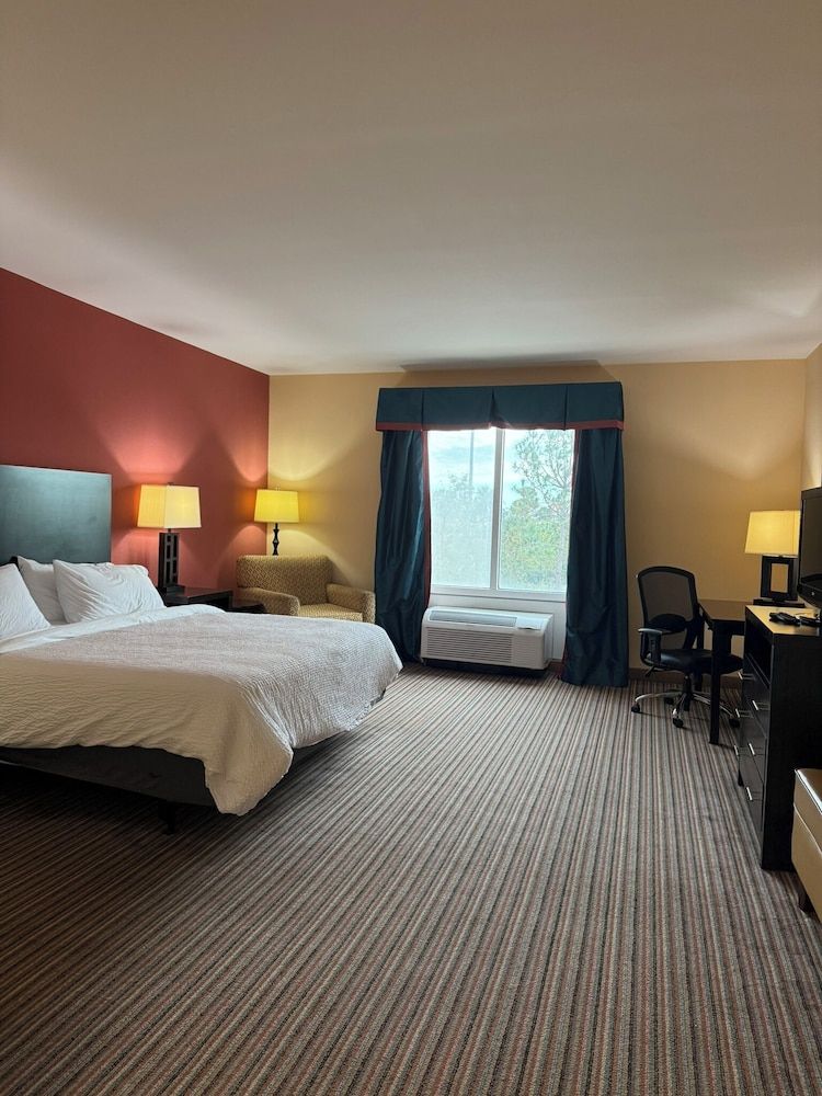 Standard Room, 1 King Bed, Accessible (Roll in Shower)