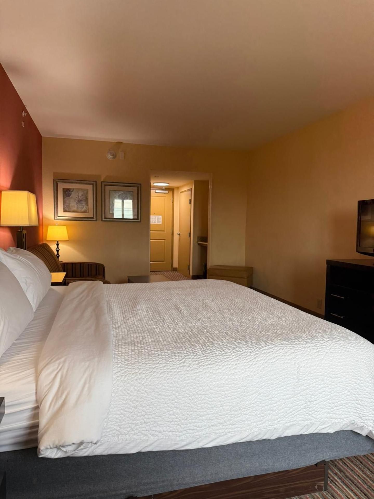 1 King Bed Standard Sofa Bed